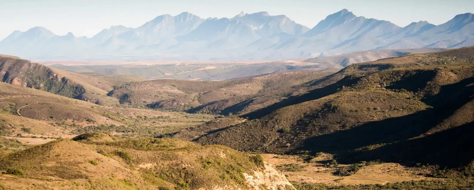 Fynbos veld and mountains on the Garden Route