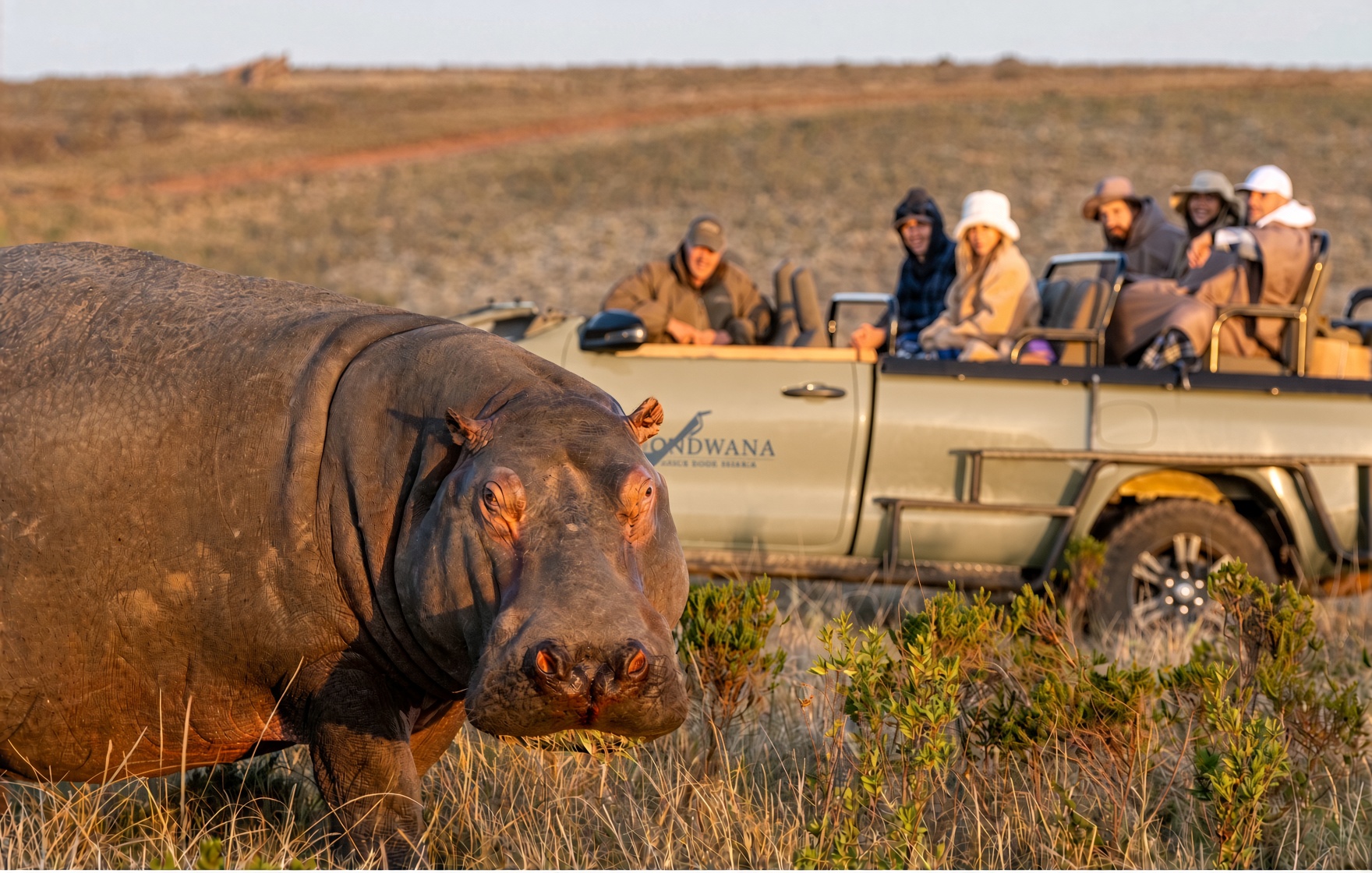 Game drive across Gondwana Game Reserve