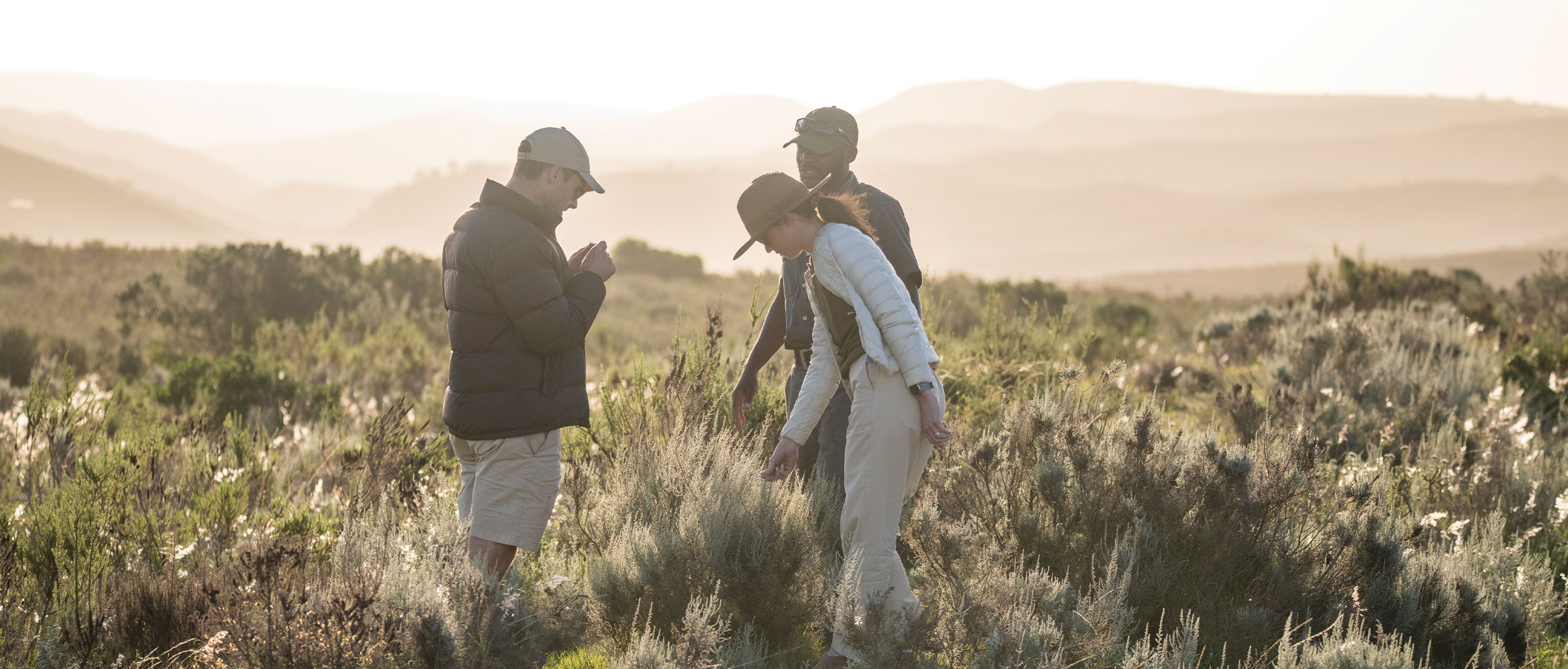 A guided fynbos walk at golden hour on Gondwana.